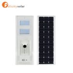 Felicity 100W/12V Floodlight with 35W Poly Panel