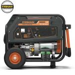 FIRMAN RD8910EX Generator